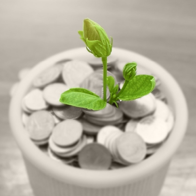 green plants growing out of coins in a pot