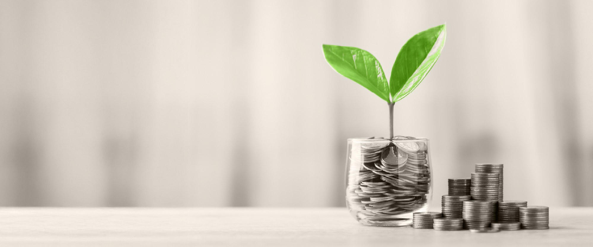 plants growing over coins